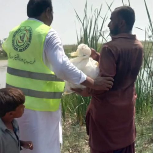 WhatsApp Image 2026-01-23 at 1.50.18 AM